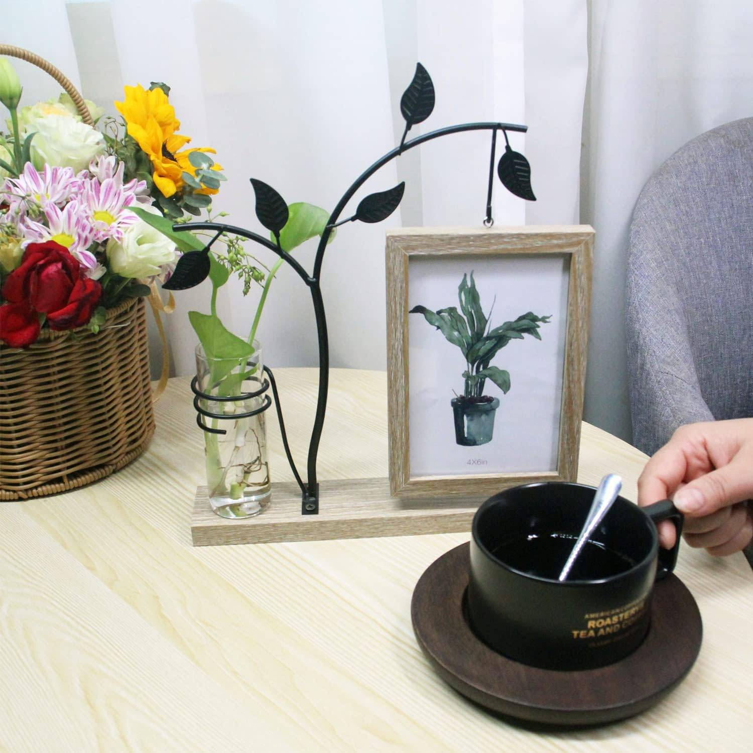 Iron Art Picture Frame Planter Holder for Home Office 9