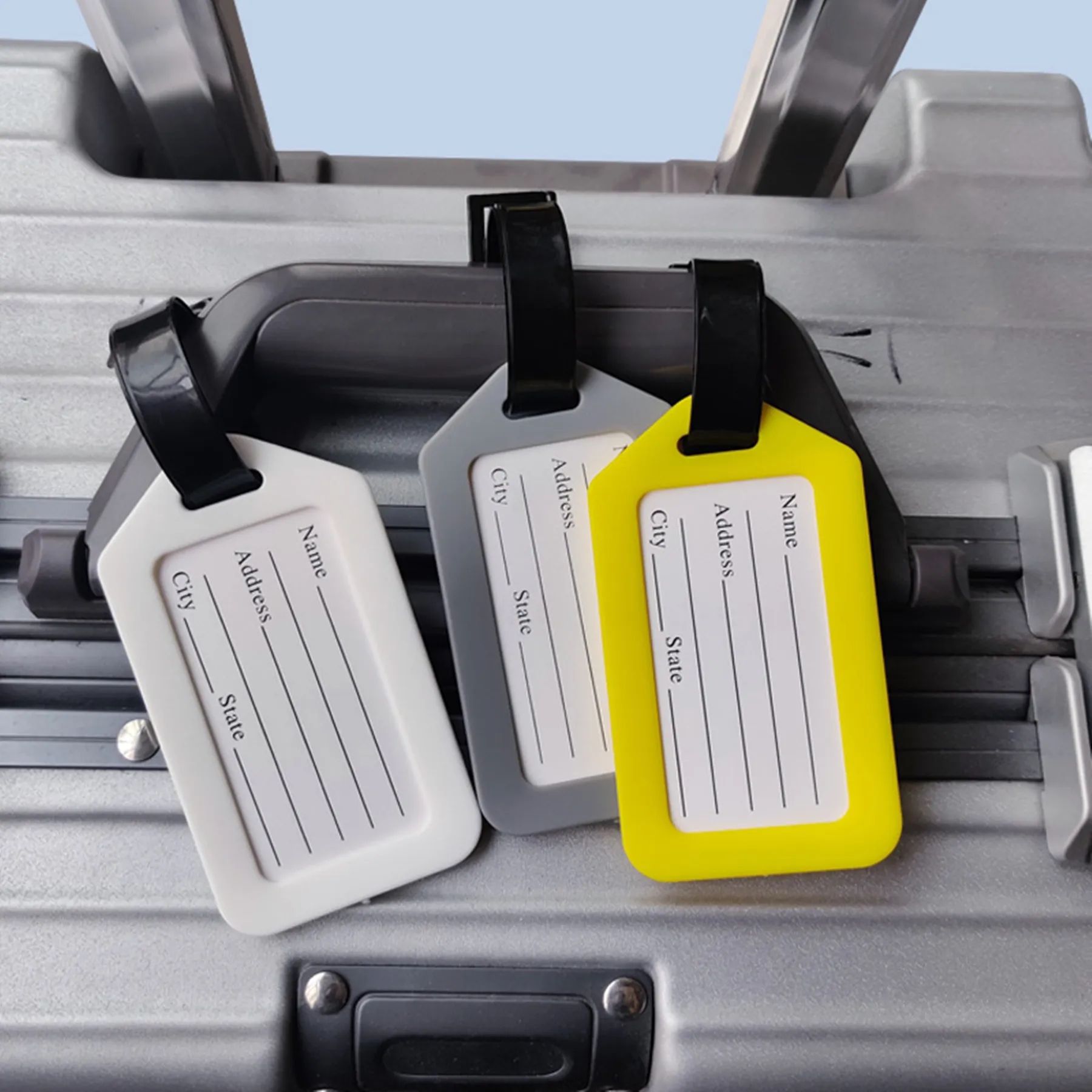 PP Luggage Tag With Strap And Name Card Inserted 6