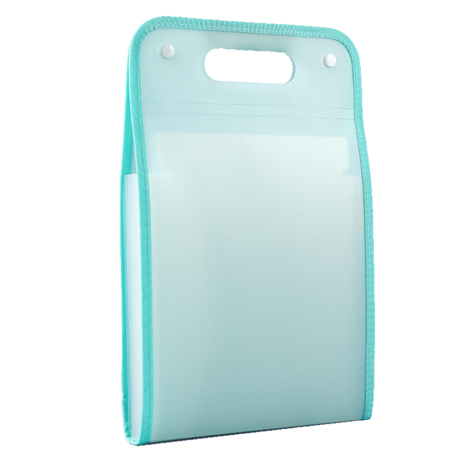 A4 Portable Folder Vertical Organ Bag 1