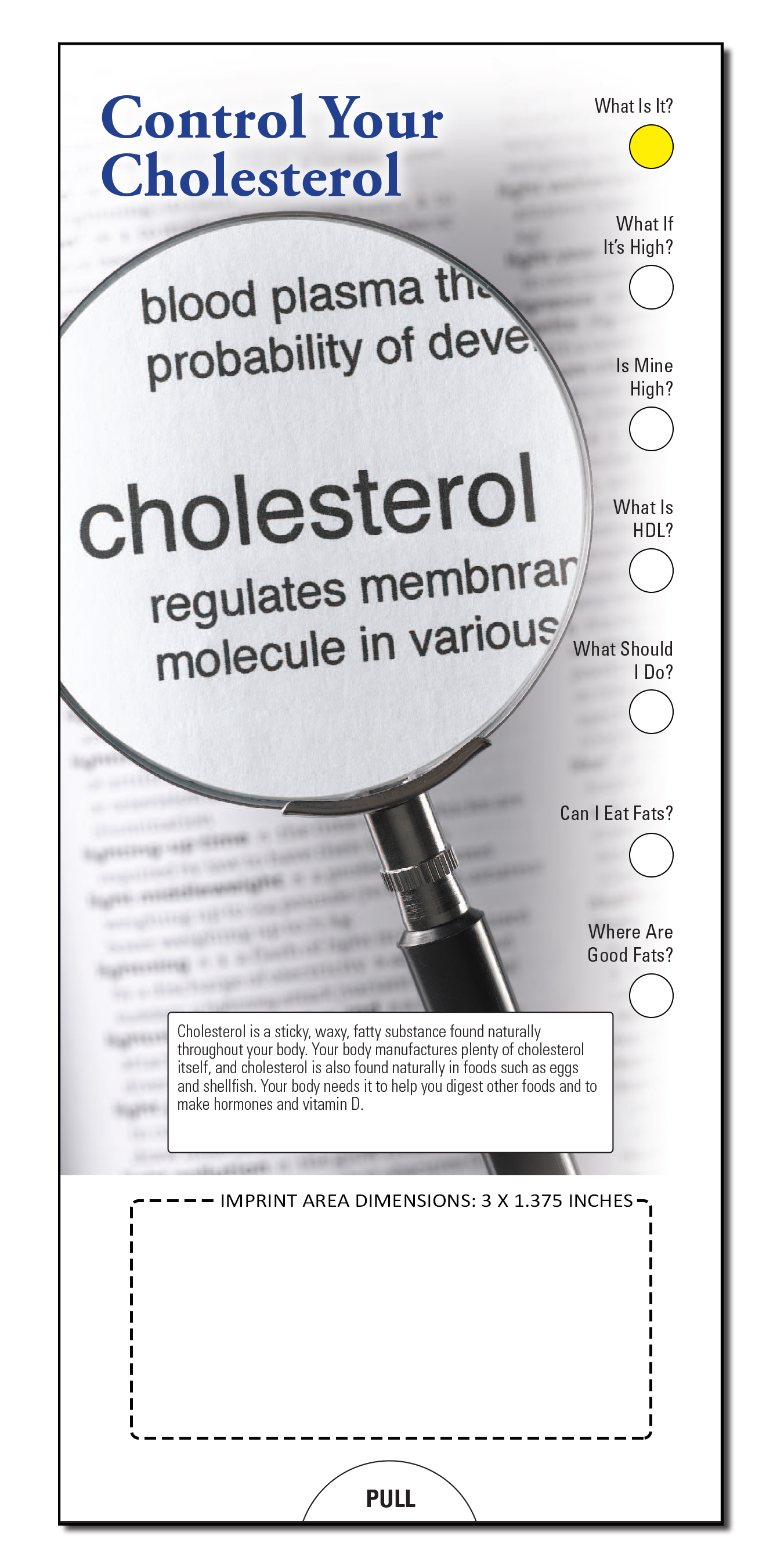 SLIDE CHART - Control Your Cholesterol Slide Chart 3