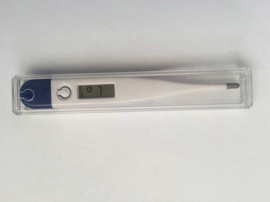 Christmas Portable Digital Thermometer 1