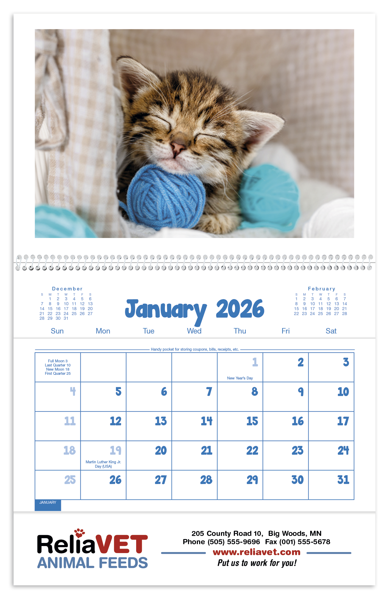 Triumph® Calendars Puppies & Kittens Pocket Calendar 49