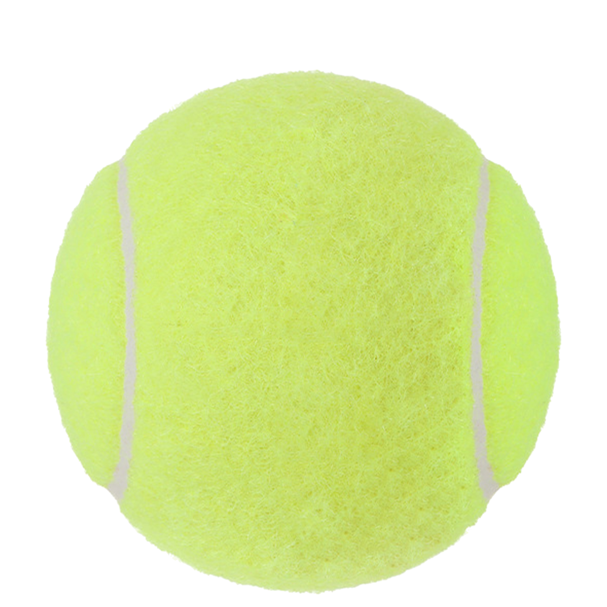 Customizable Dog Play Ball 30
