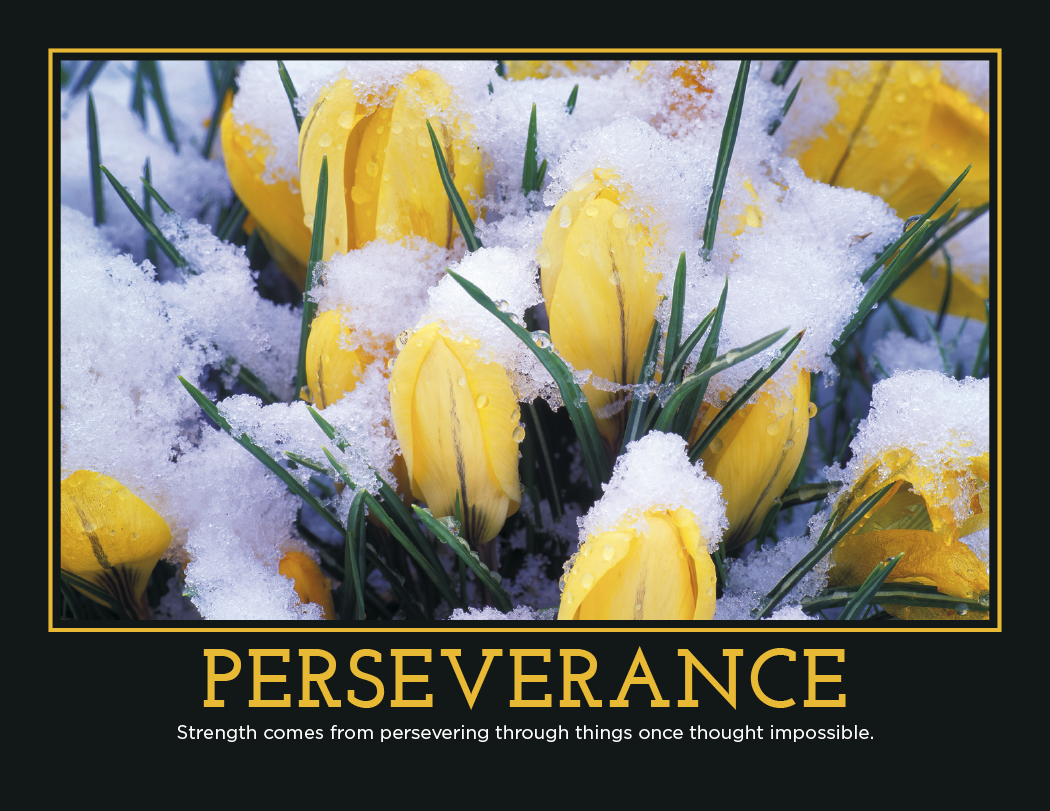 HotLine® Products Motivation Appointment Calendar (Motivational Quotes) - Stapled 6