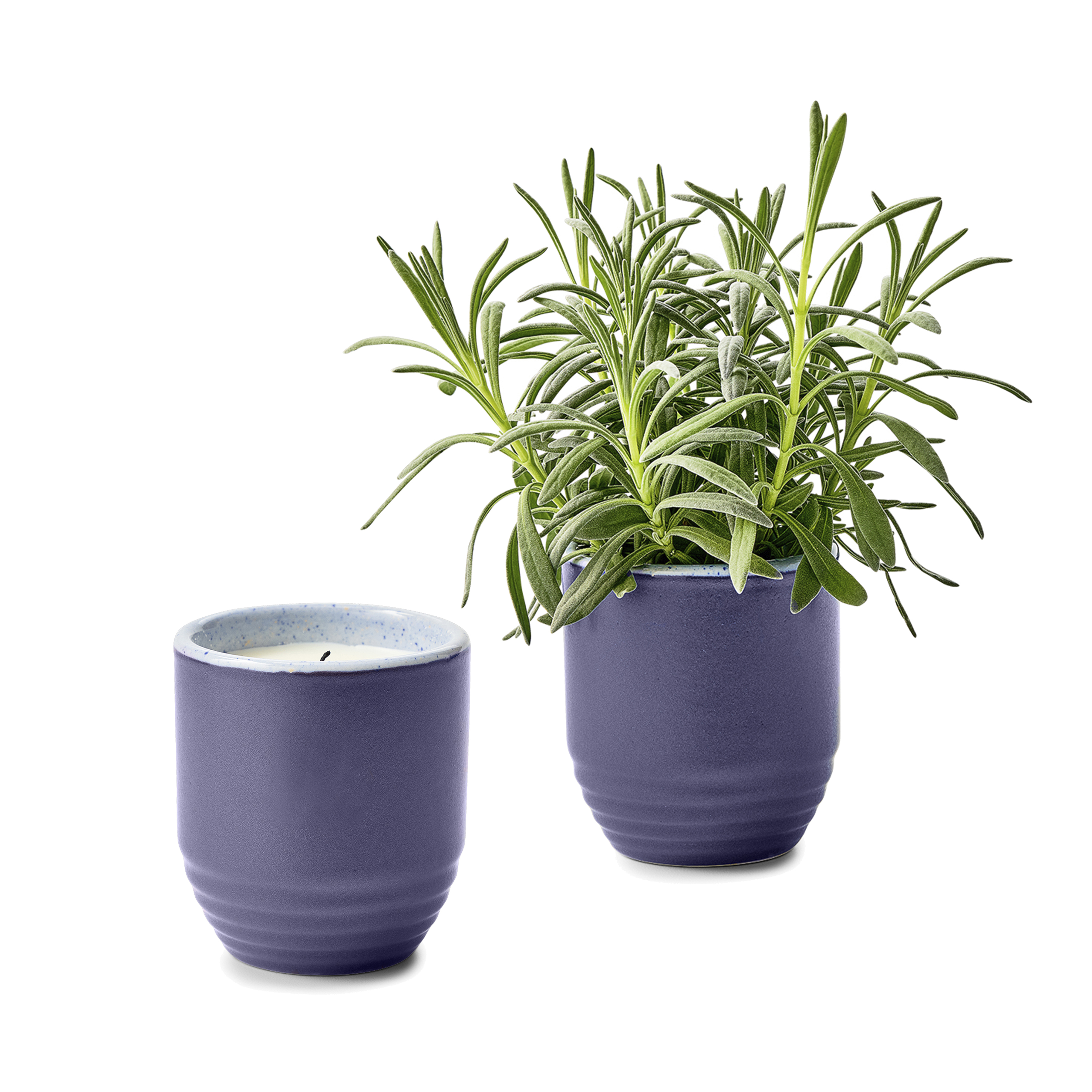 Modern Sprout® Garden Vibes Candle/Planter 10