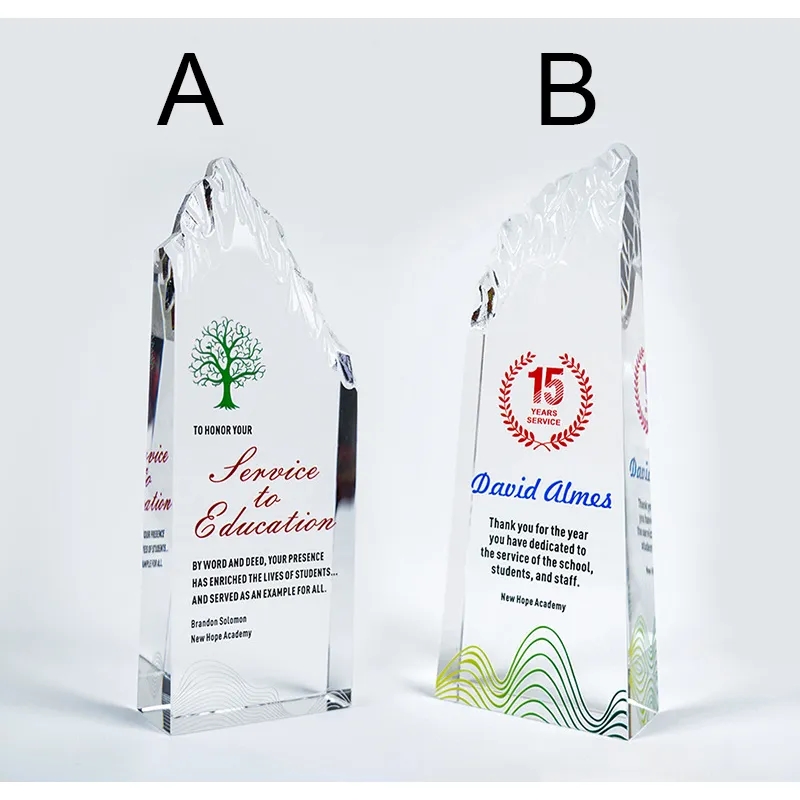 Recognition Crystal Iceberg Award 6