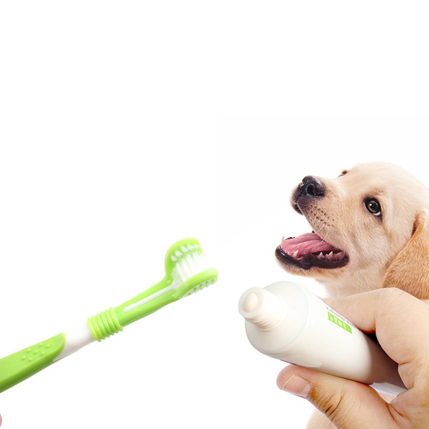 Plastic Oral Cleaning Care Three-headed Pet Toothbrush 6