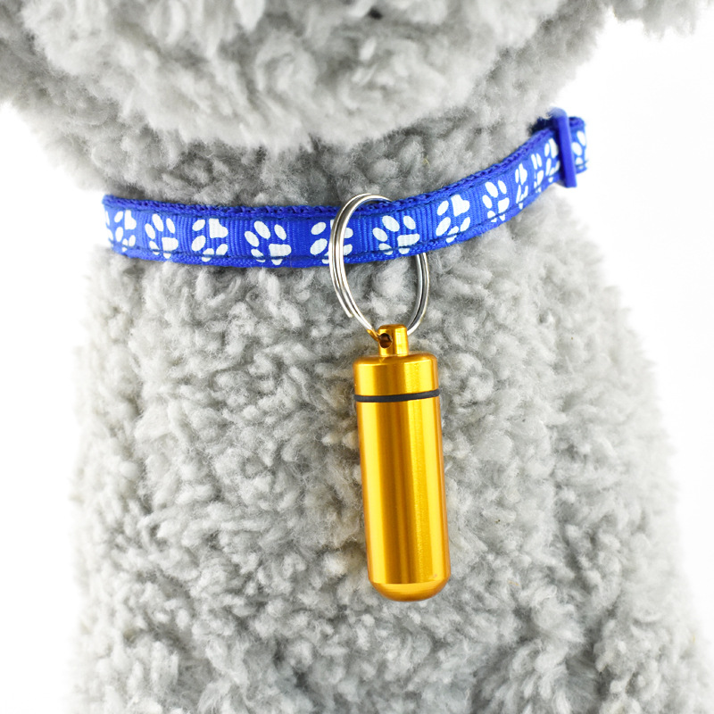 Pill Box Key Tag 3