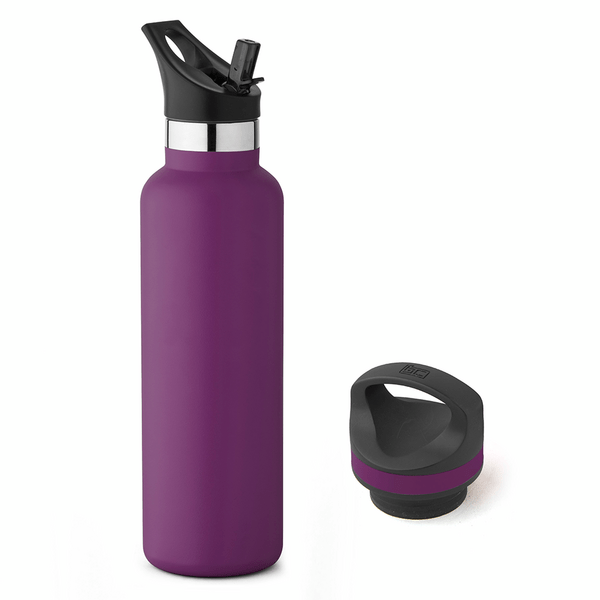20 oz Basecamp Mesa Tundra Bottle with Screw Top and Flip-Top Straw Lid 178