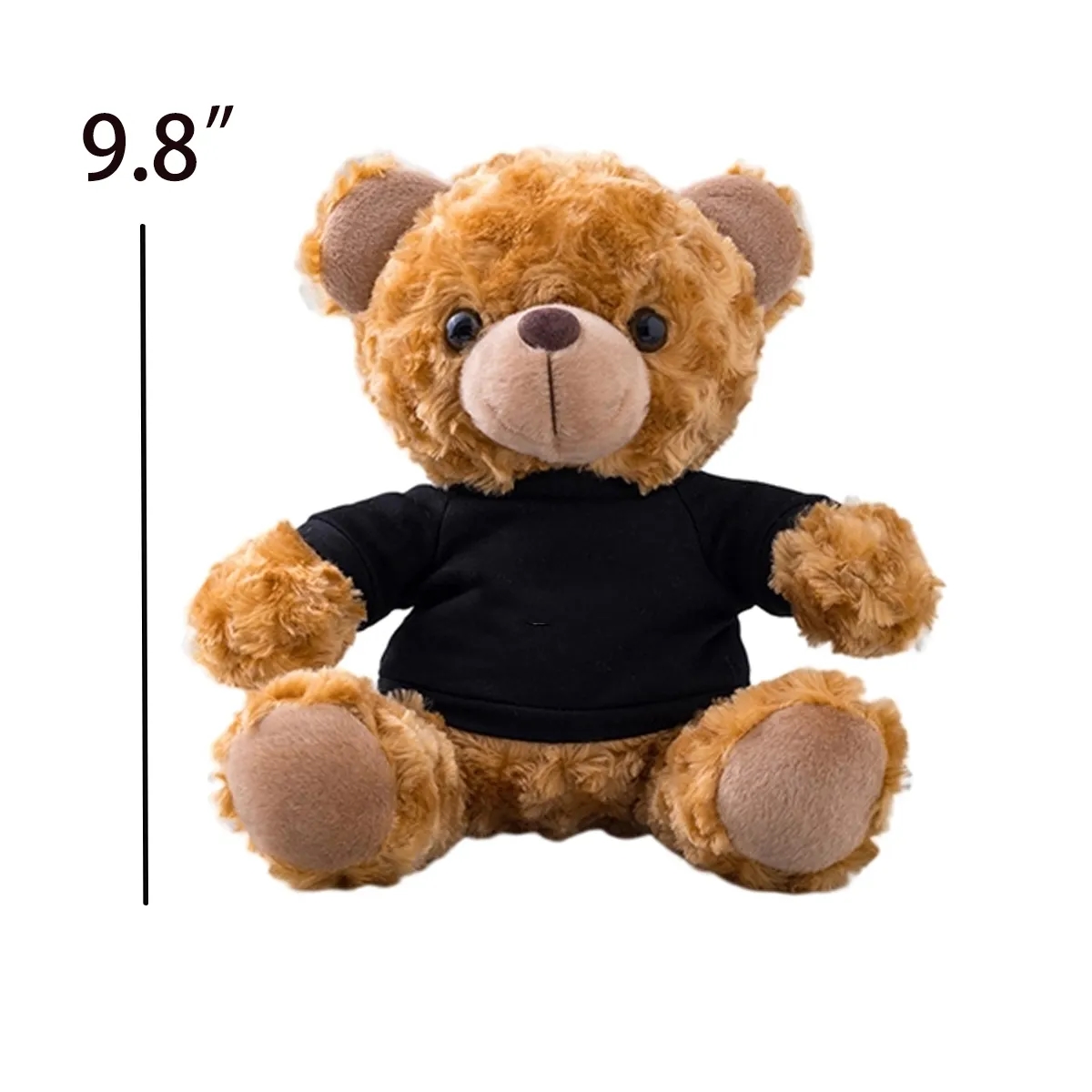 10" Personalized Gift Teddy Bear W/ Custom Message/Clothing 1