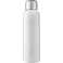 Guzzle 28oz Stainless Sports Bottle 85