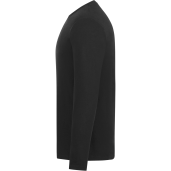 tentree Organic Cotton Longsleeve Tee - Men's 80