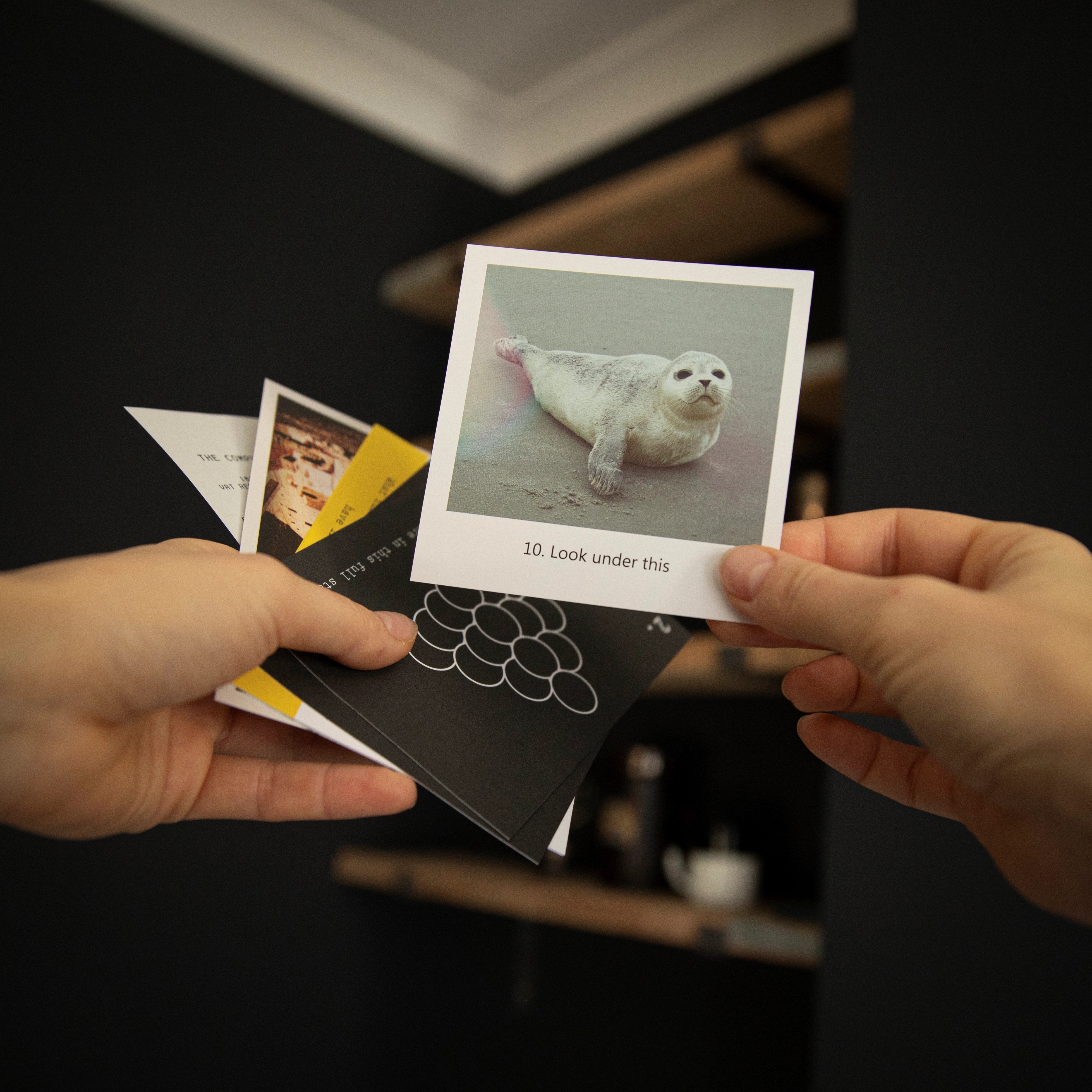Puzzle Mailer - The Enigmagram an Escape Room Puzzle Gift 26
