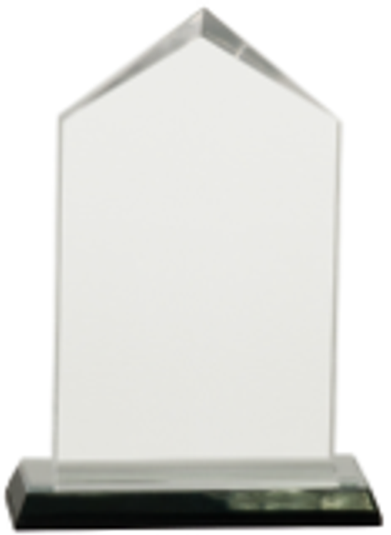 6.5" Silver Jewel Impress Acrylic Award