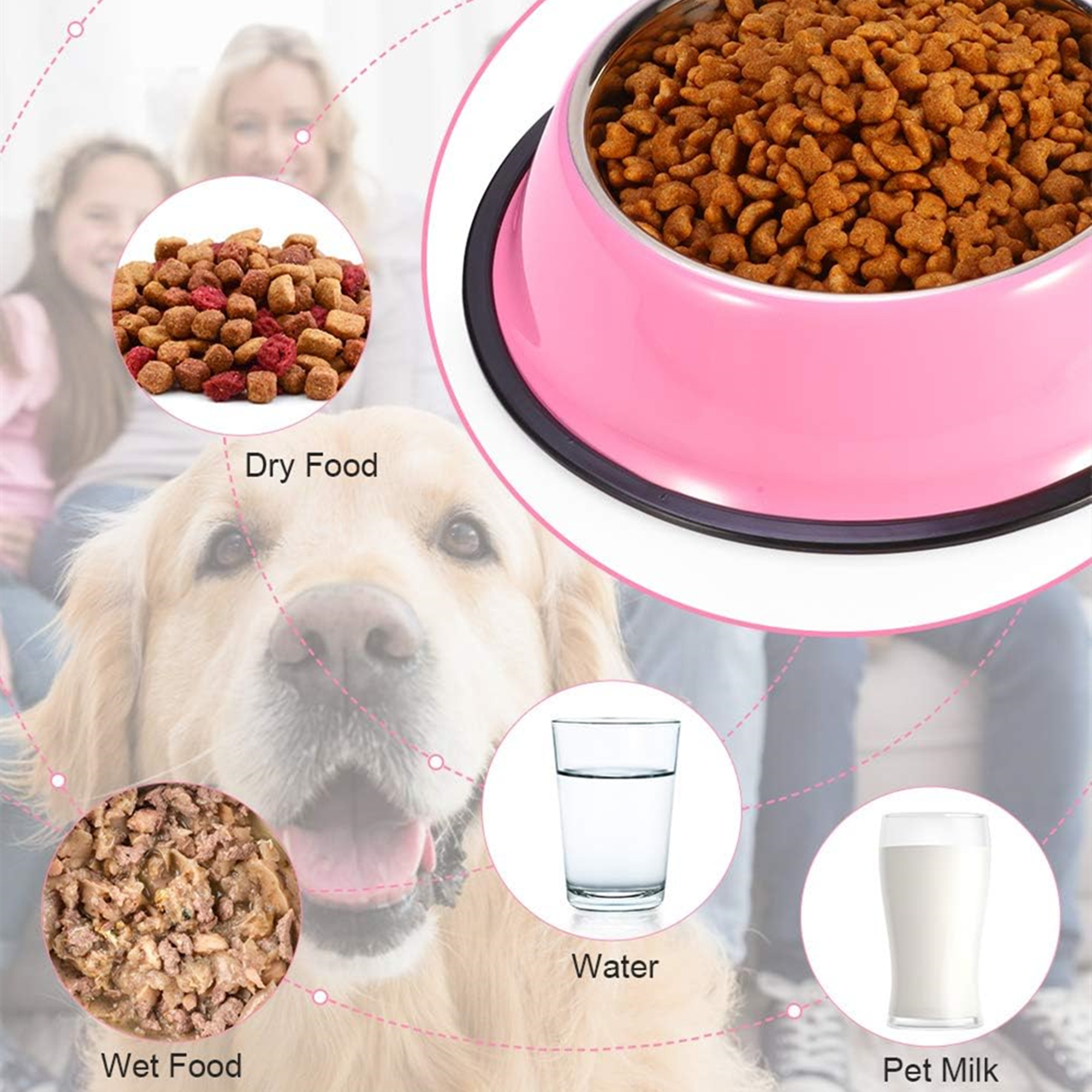 Stainless Steel Dog Bowl With Anti-Skid Rubber Base 5