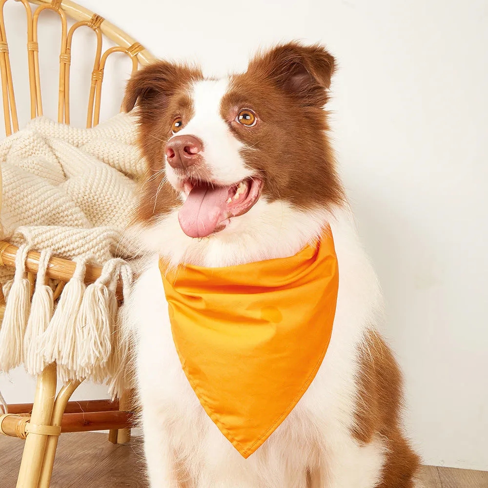 Adjustable Dog Bandana - Washable Triangle Bib for Pets 4