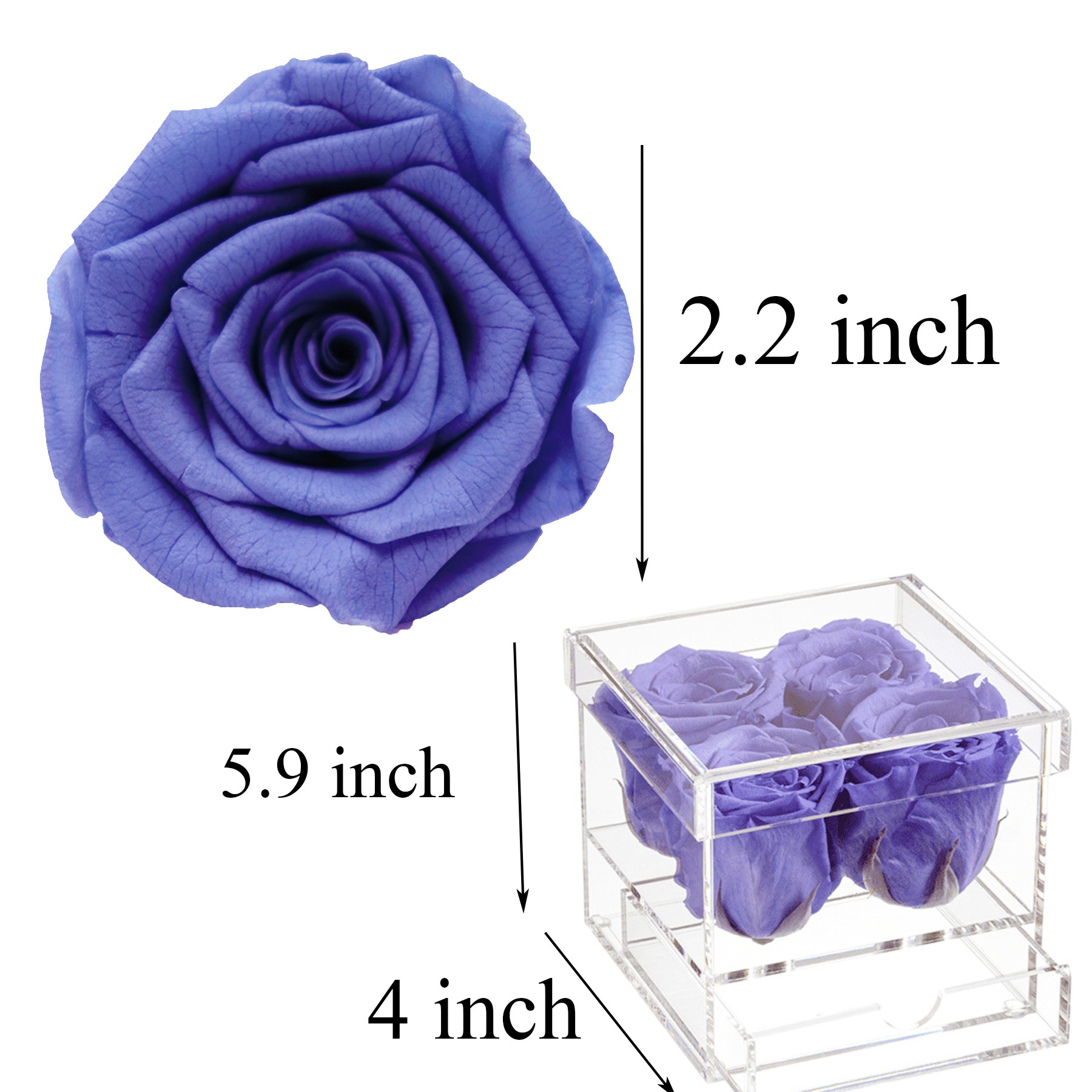 Acrylic Gift Eternal Rose Box 4