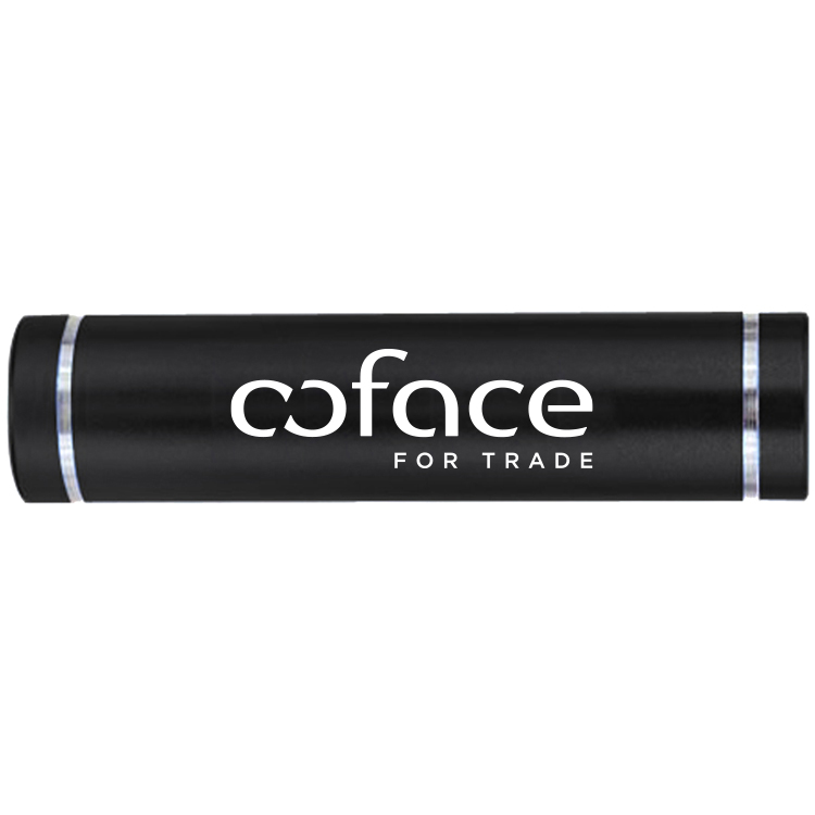 2200mAh Metal Power Bar Charger 7