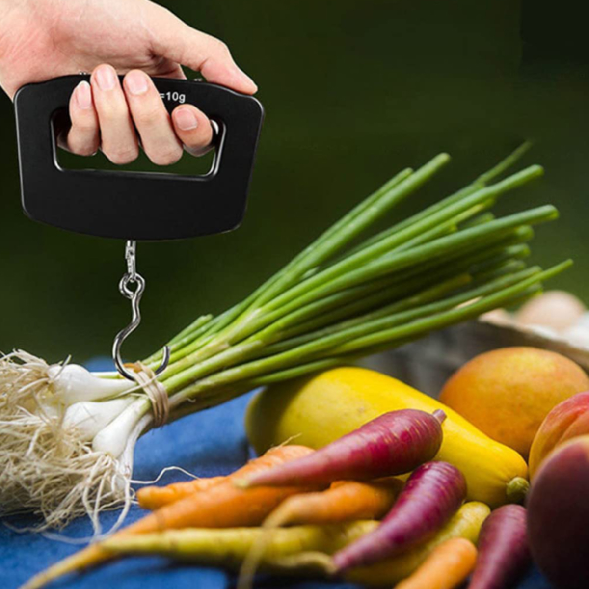 Digital Luggage Scale 1
