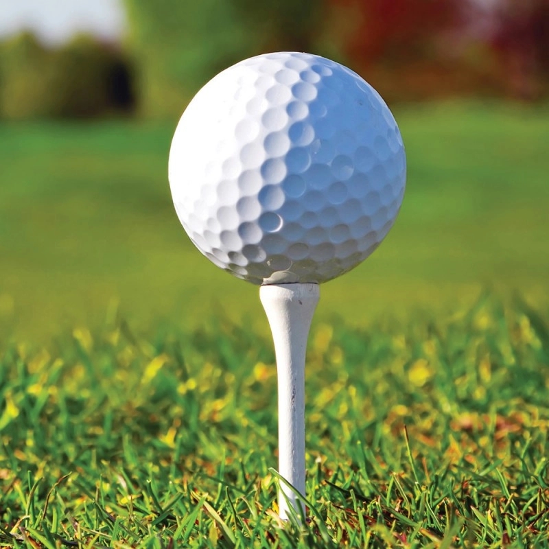 Wood Golf Tees 11