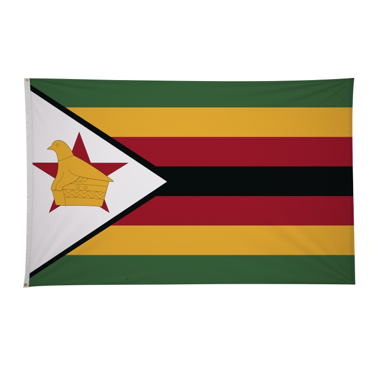 5' x 8' International Flags 81