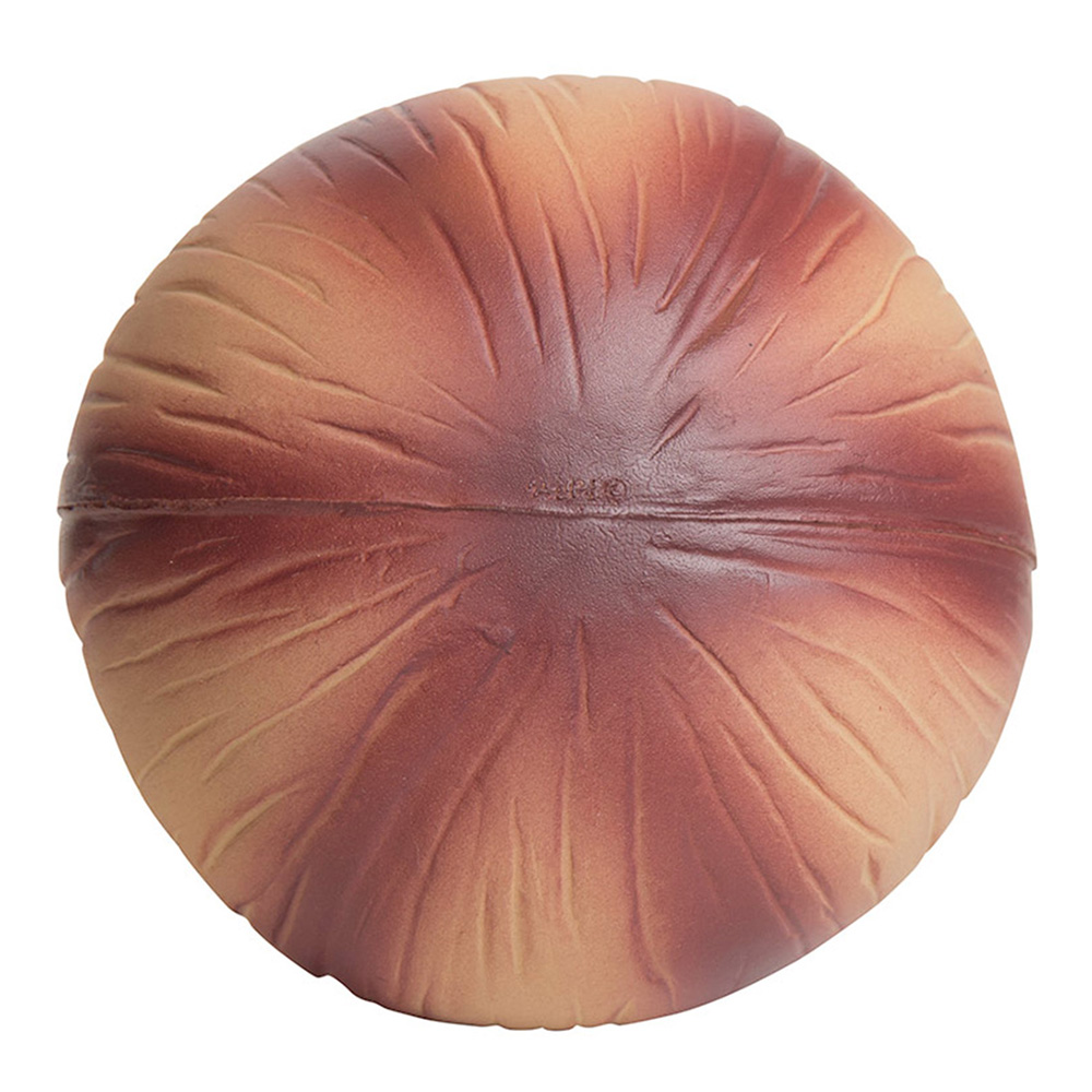Onion Stress Reliever 11