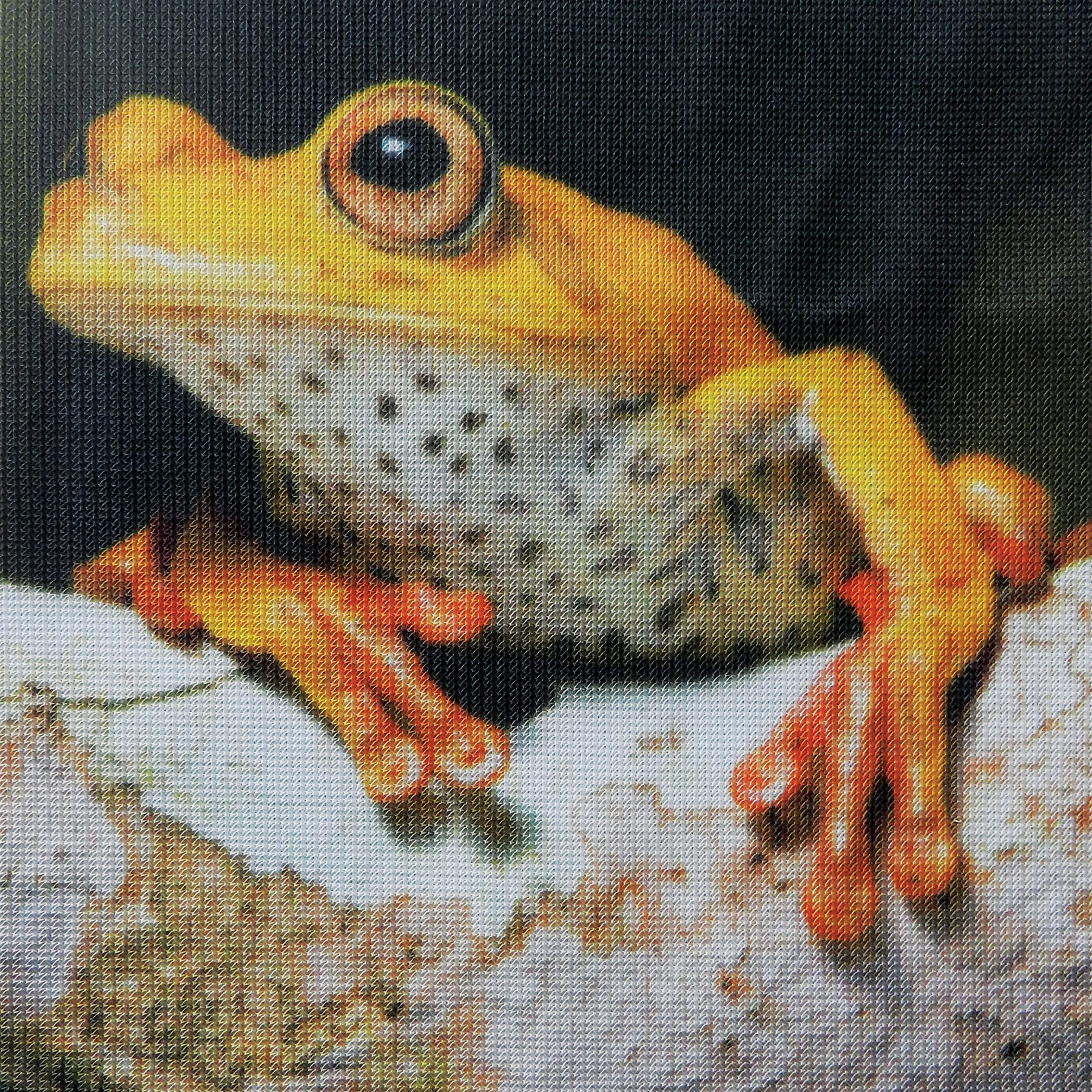 3' x 5' Double Sided Knitted Polyester Vertical Banners 1