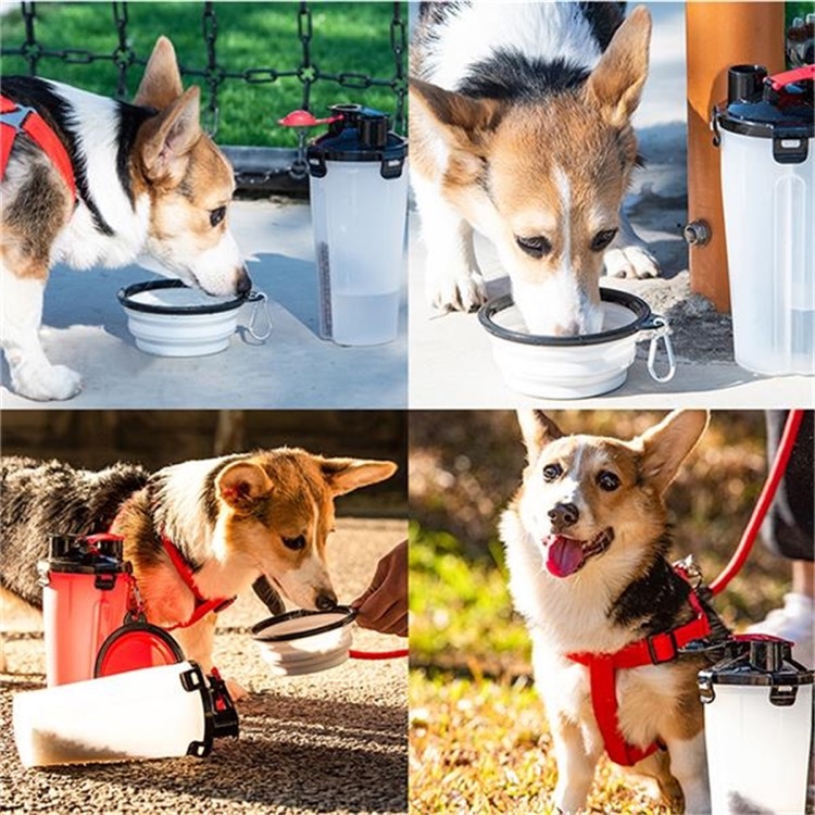 2 In 1 Folding Pet Feeder Water Bottle 3