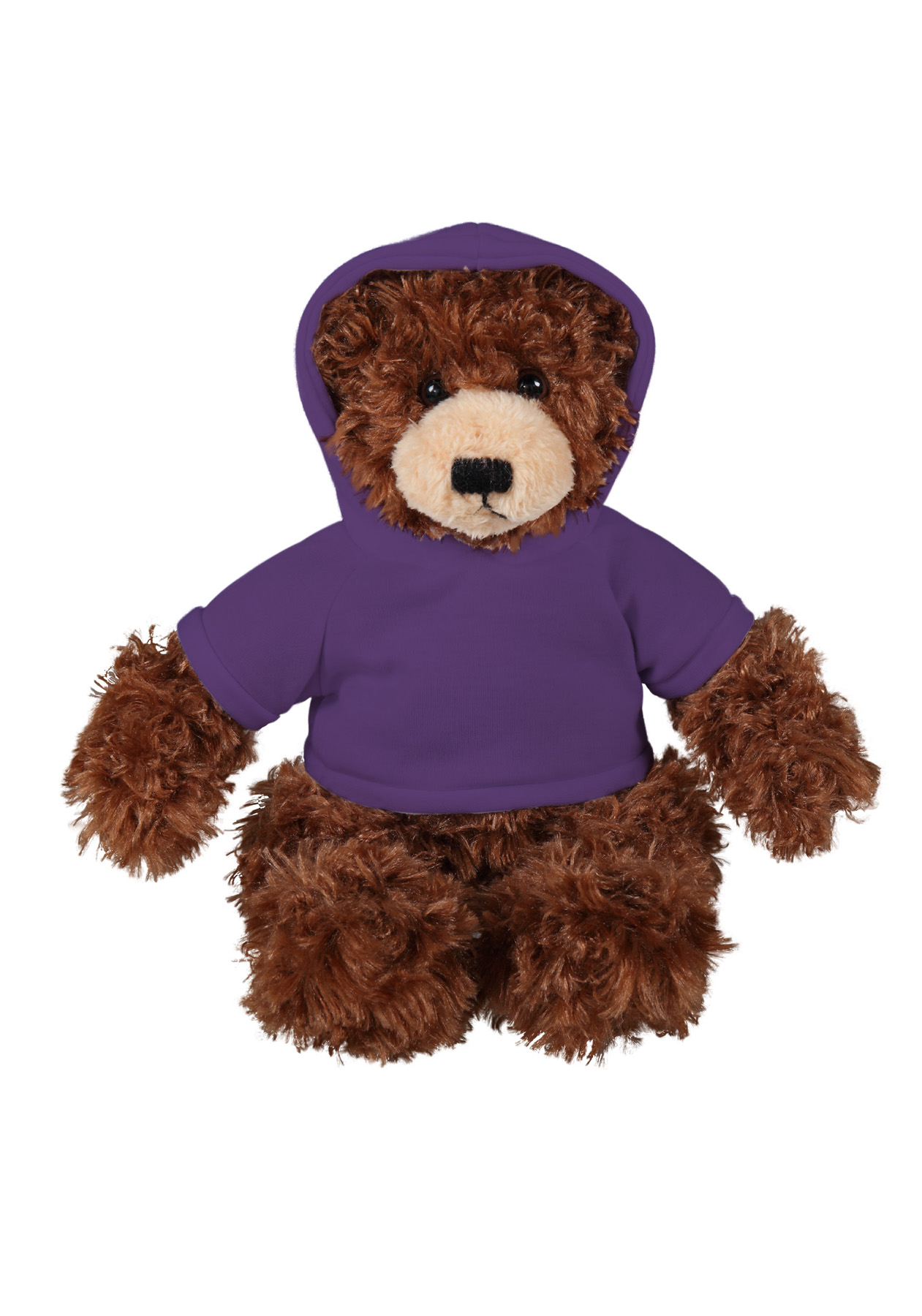 soft plush  Chocolate Brandon Bear with hoodie 19