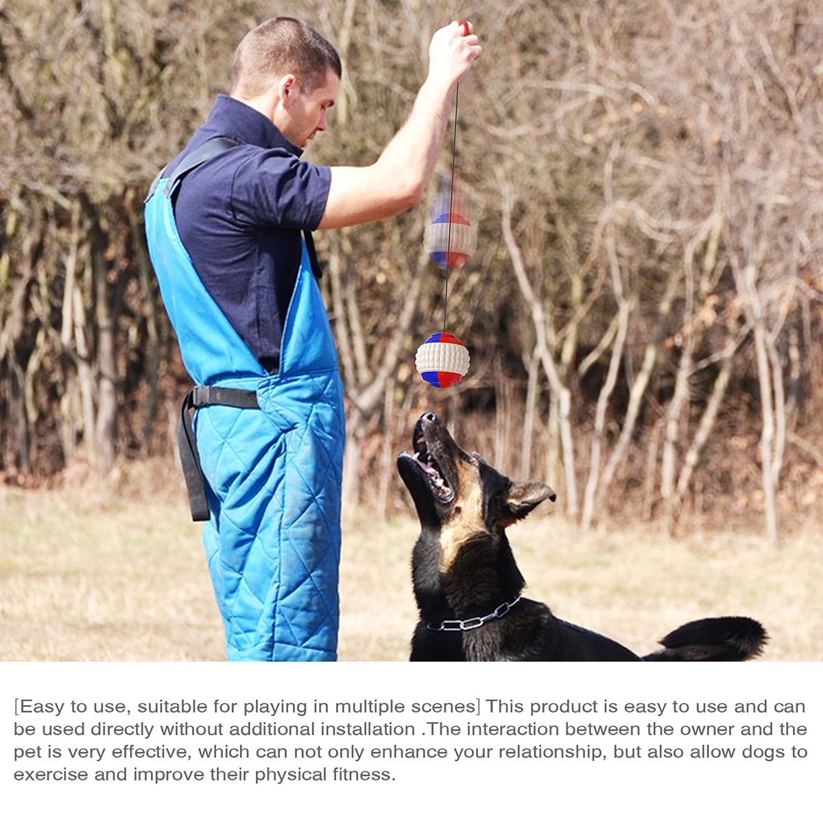 Dog Chew Ball For Aggressive Chewers 7