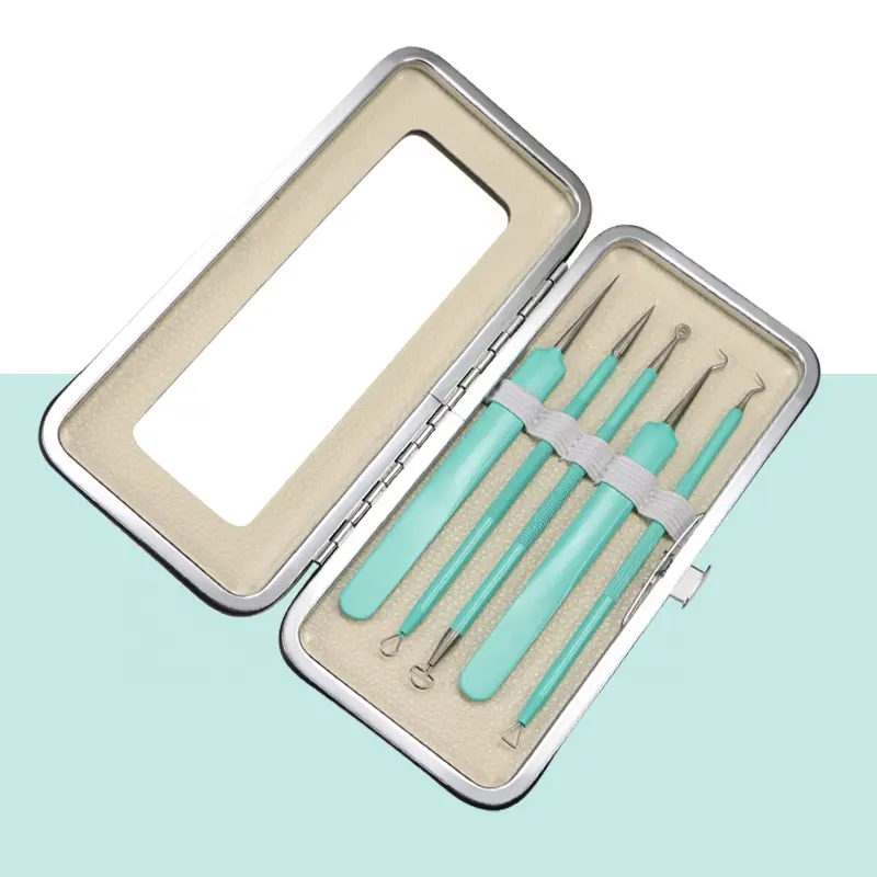 5 Pcs Acne Needle Set 1