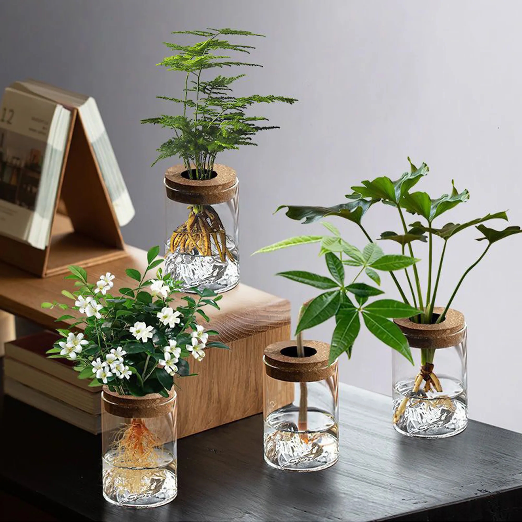 Hydroponic Small Potted Plant 5