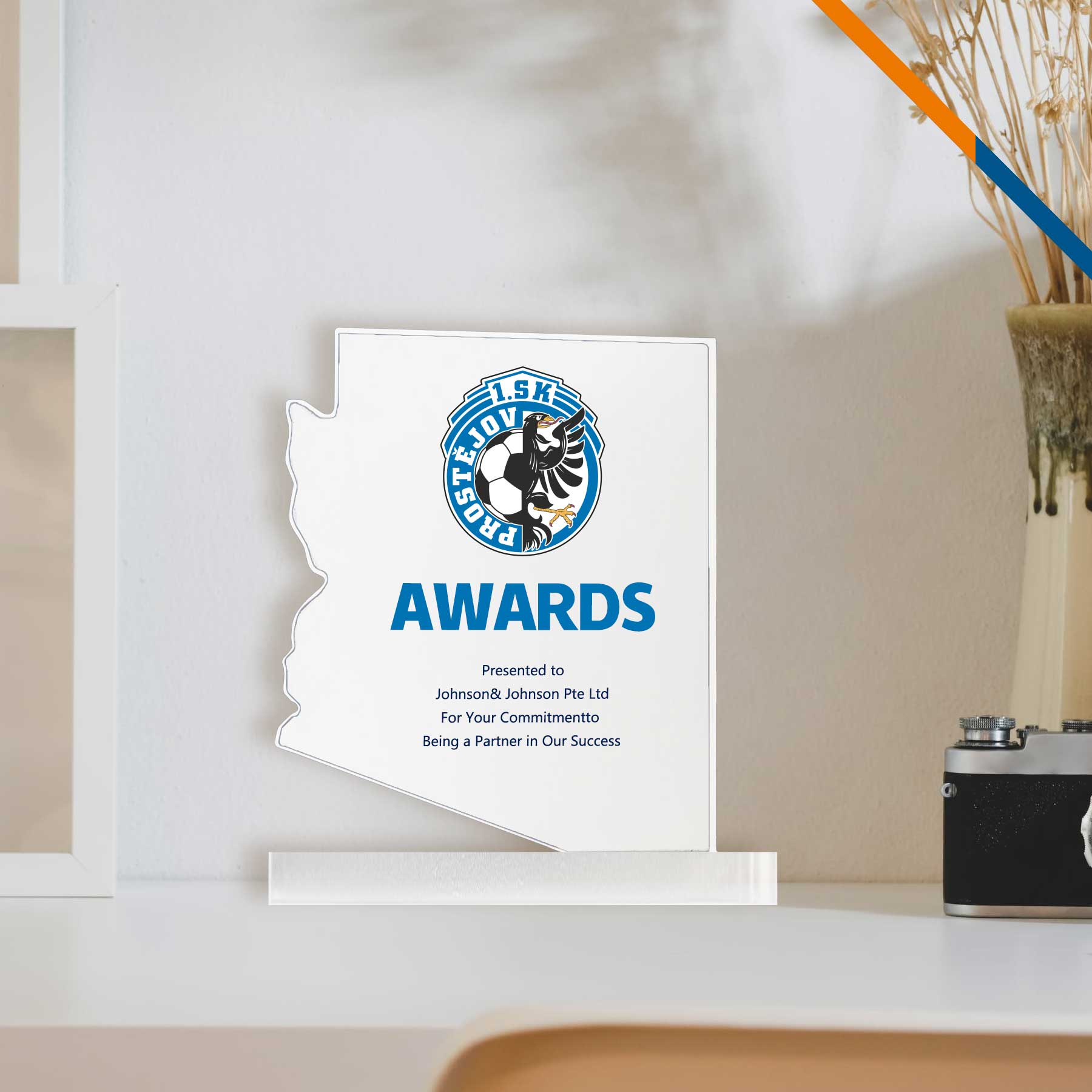 Ricty Arizona Map Award 5