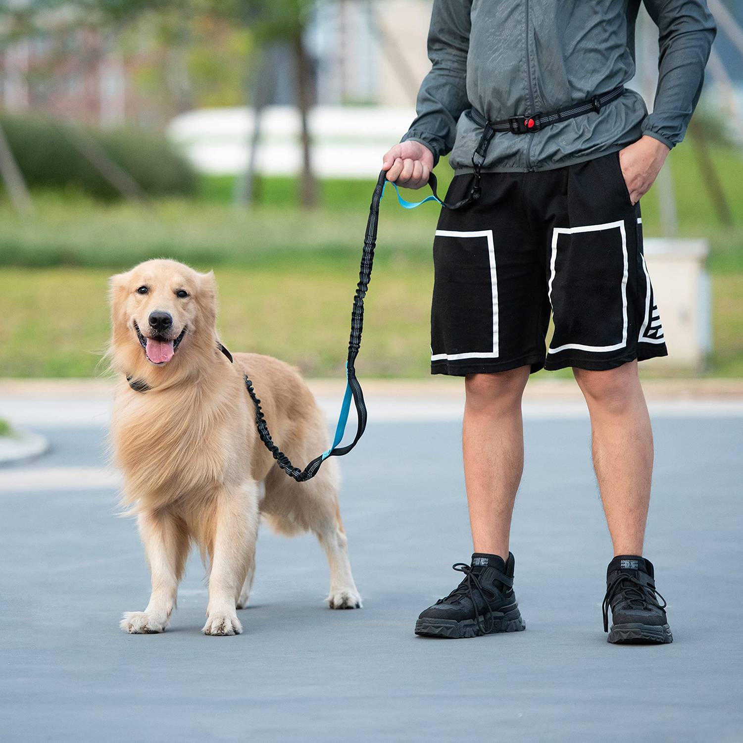 Stretching Dog Leash W/ Waist Bag 3