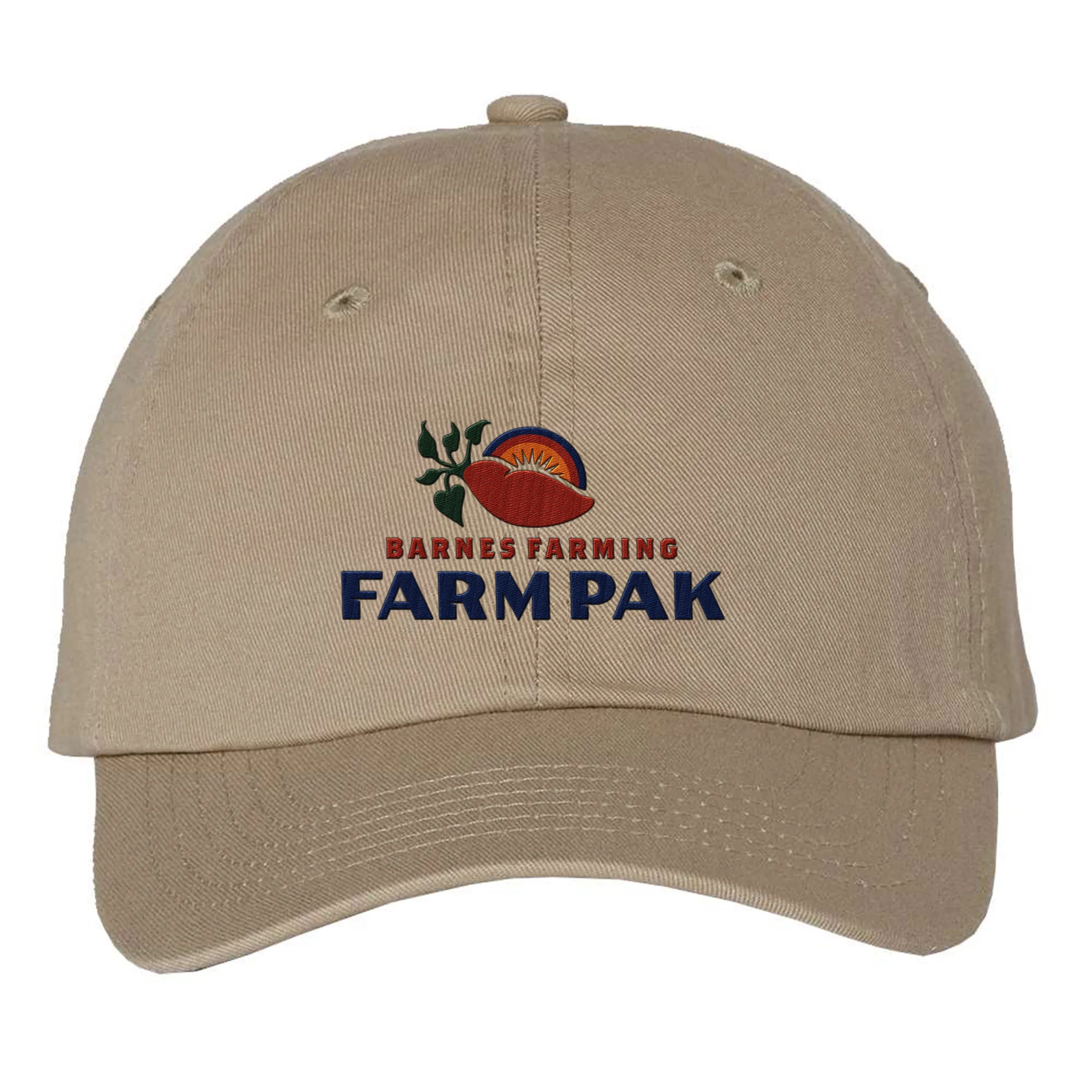 VALUE CAP SMALL FIT BIO-WASHED DAD'S 14