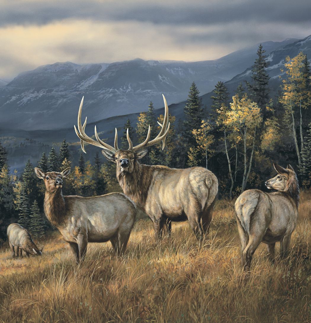 Triumph® Calendars Wildlife Art Calendar 15