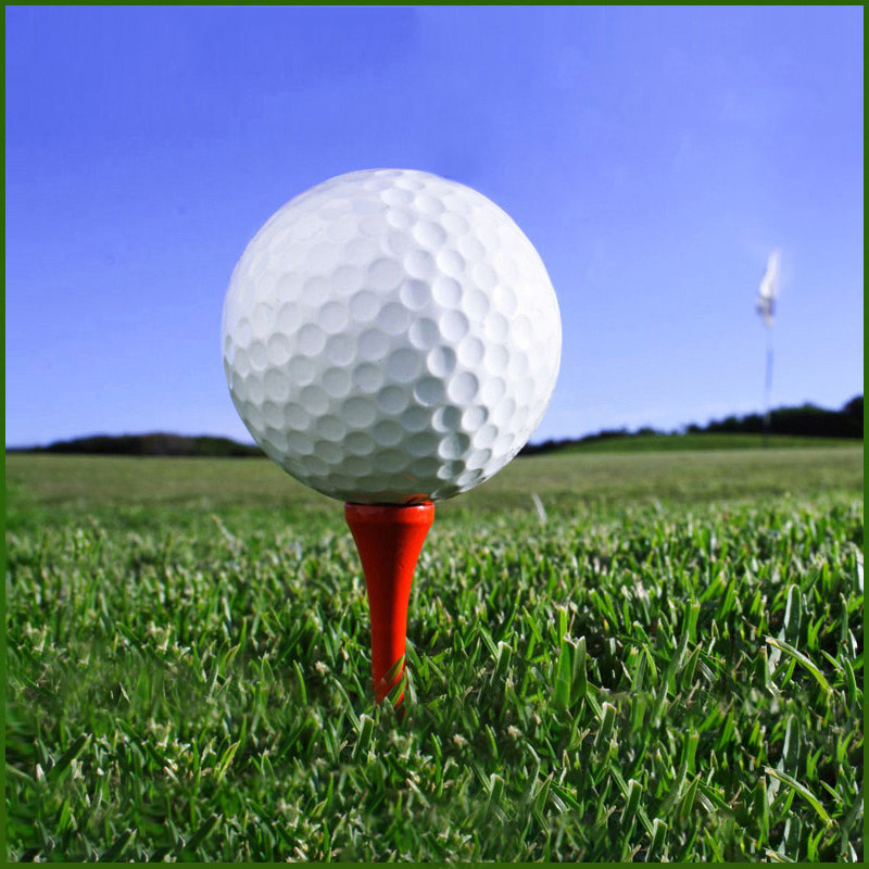 Double Layer Golf Ball 1