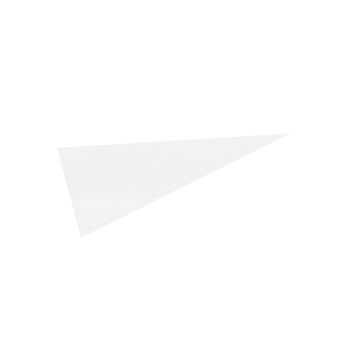 5" x 12" Pennant 2