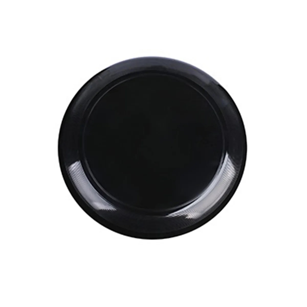 10.8" Plastic Flying Disc 8