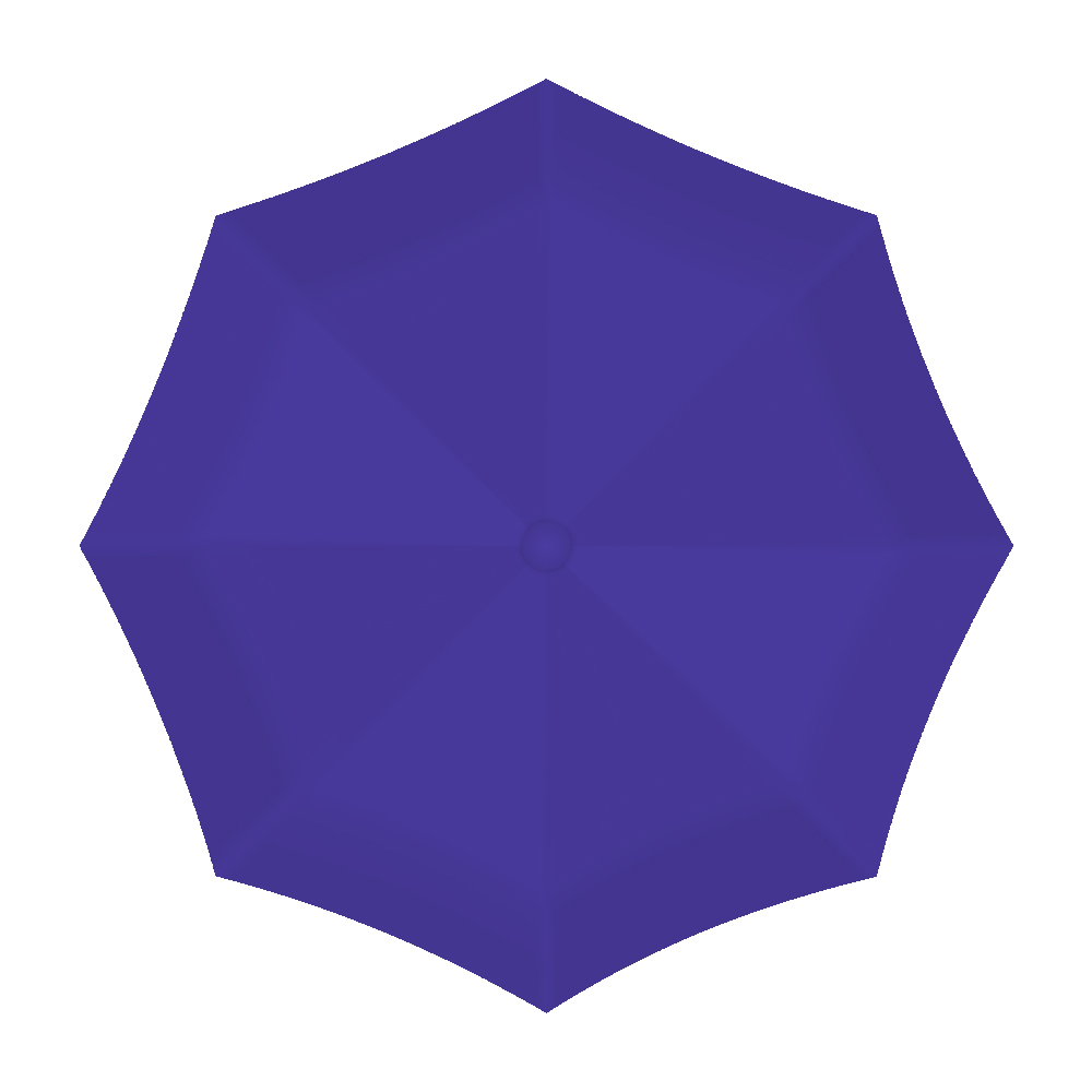 Colorful Folding Umbrella /W Wine Bottle Case 10