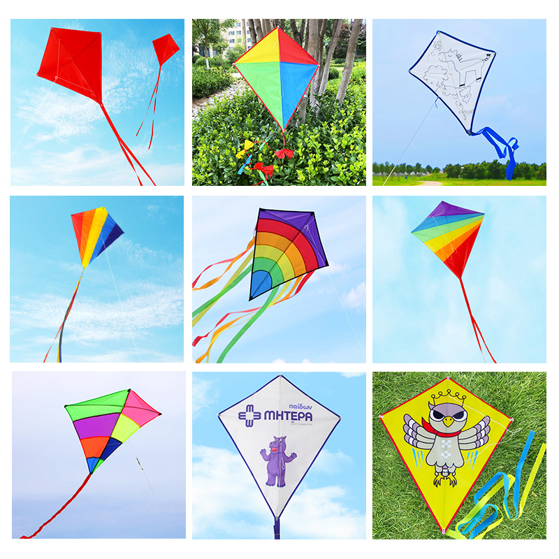 Easy to Fly Kite for Kids 2
