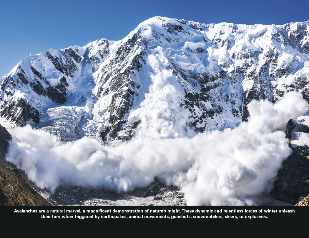 Good Value™ The Power of Nature - Spiral Calendar