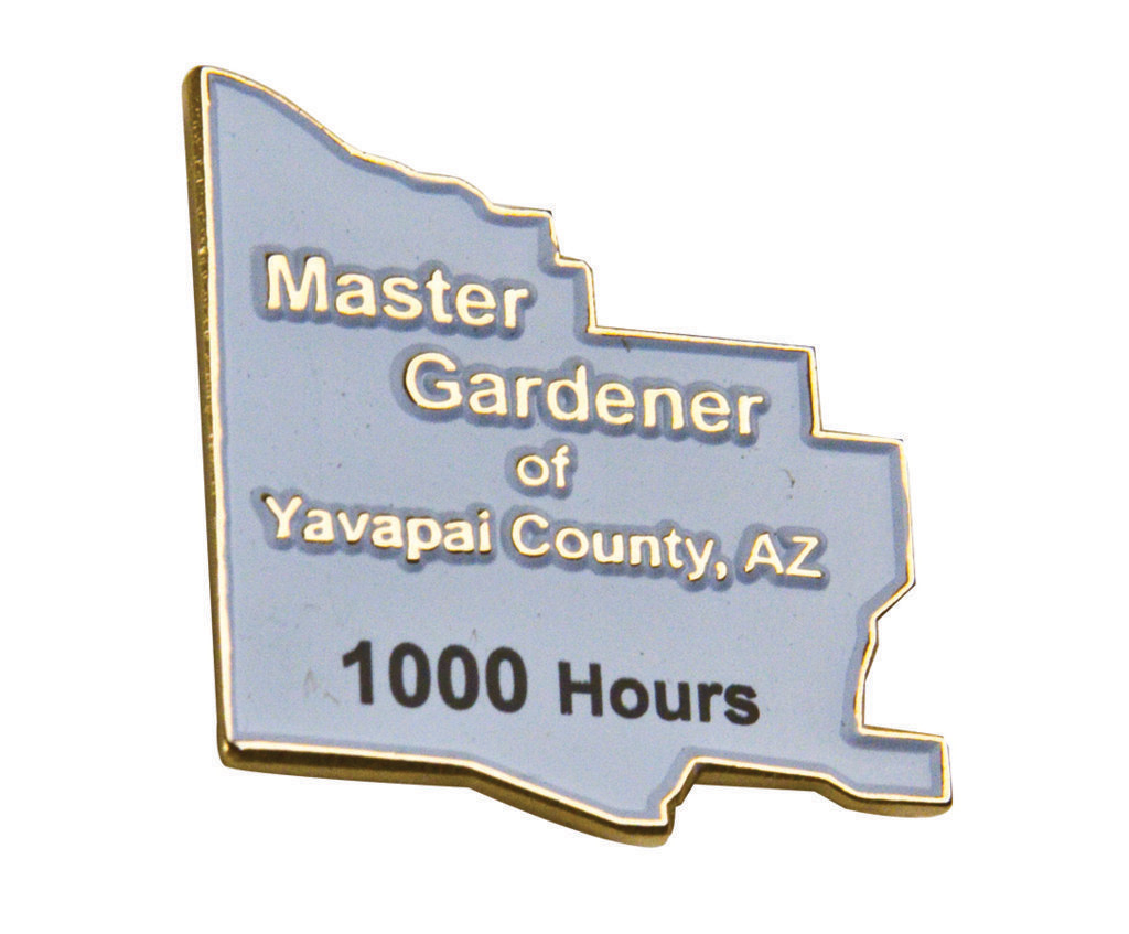 Lapel Pin (Copper Synthetic Enamel 1/2")