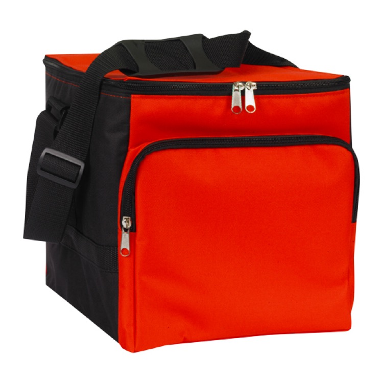 Giant 24 Can picnic cooler 13
