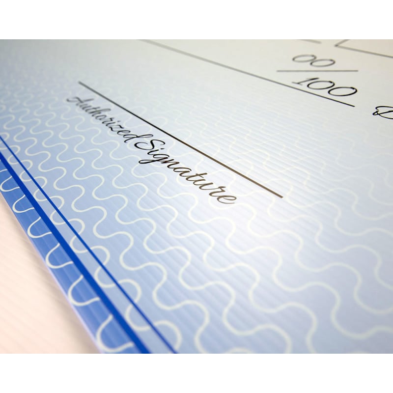 Custom Economy Large Checks 22 X 48 Inch 8