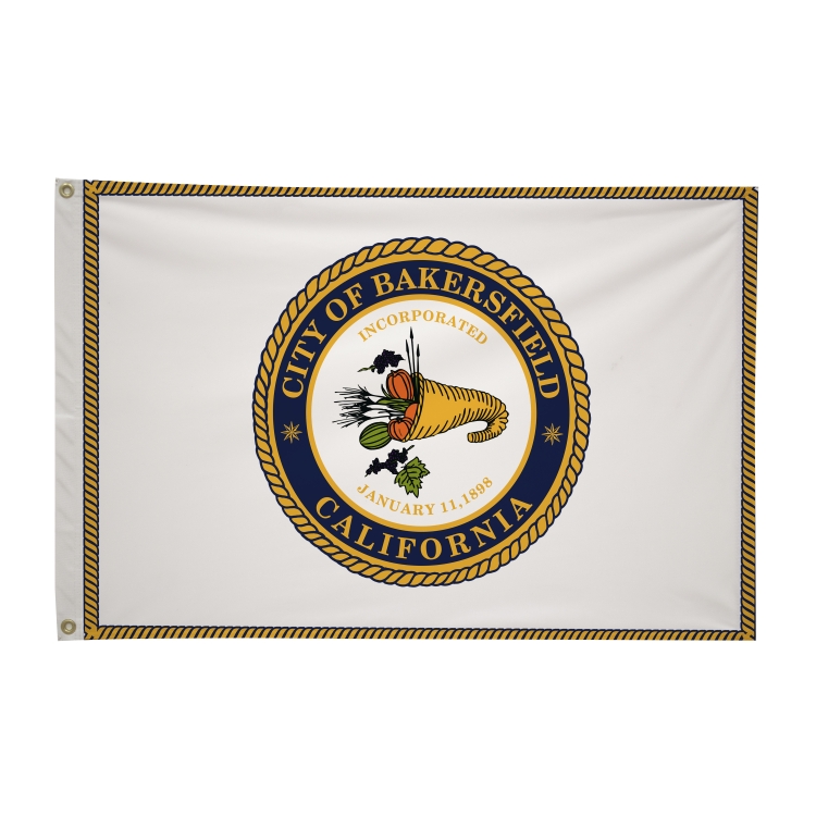 2' x 3' City Flags 47