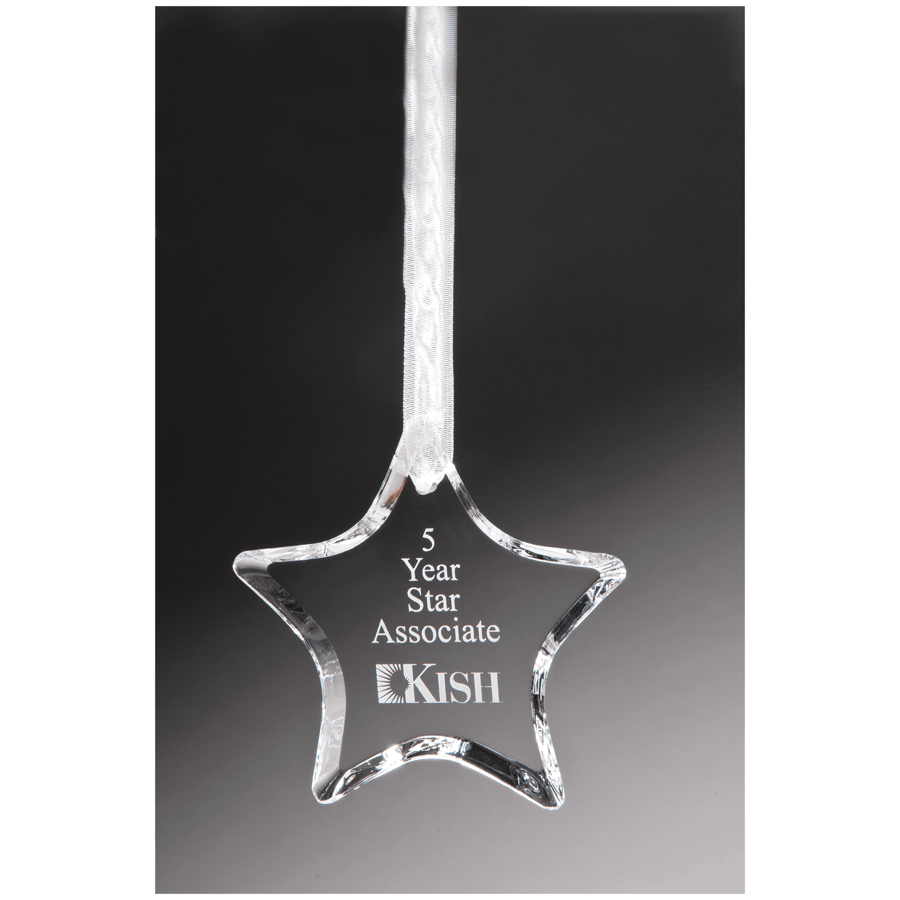 3 1/2" Crystal Star Ornament 2