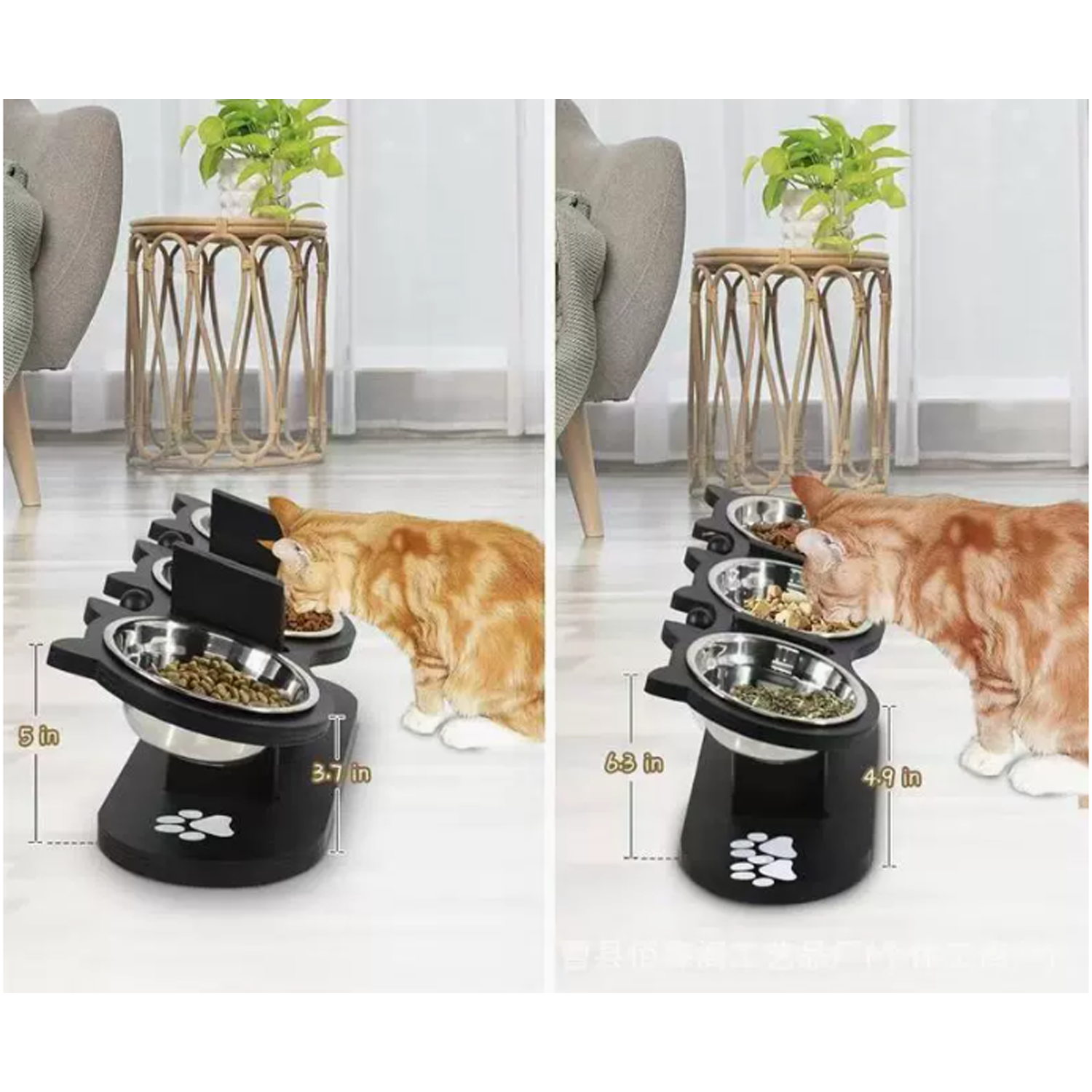 Pet Feeder 4