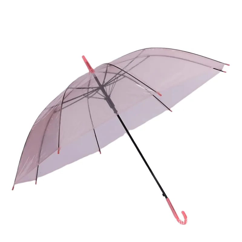 Transparent Umbrella 2