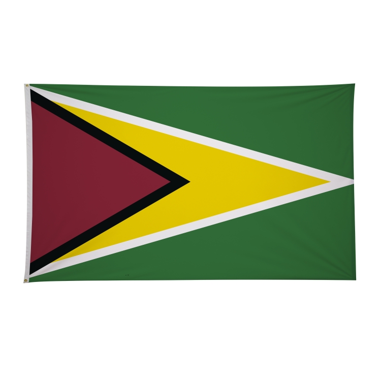 6' x 10' International Flags 199